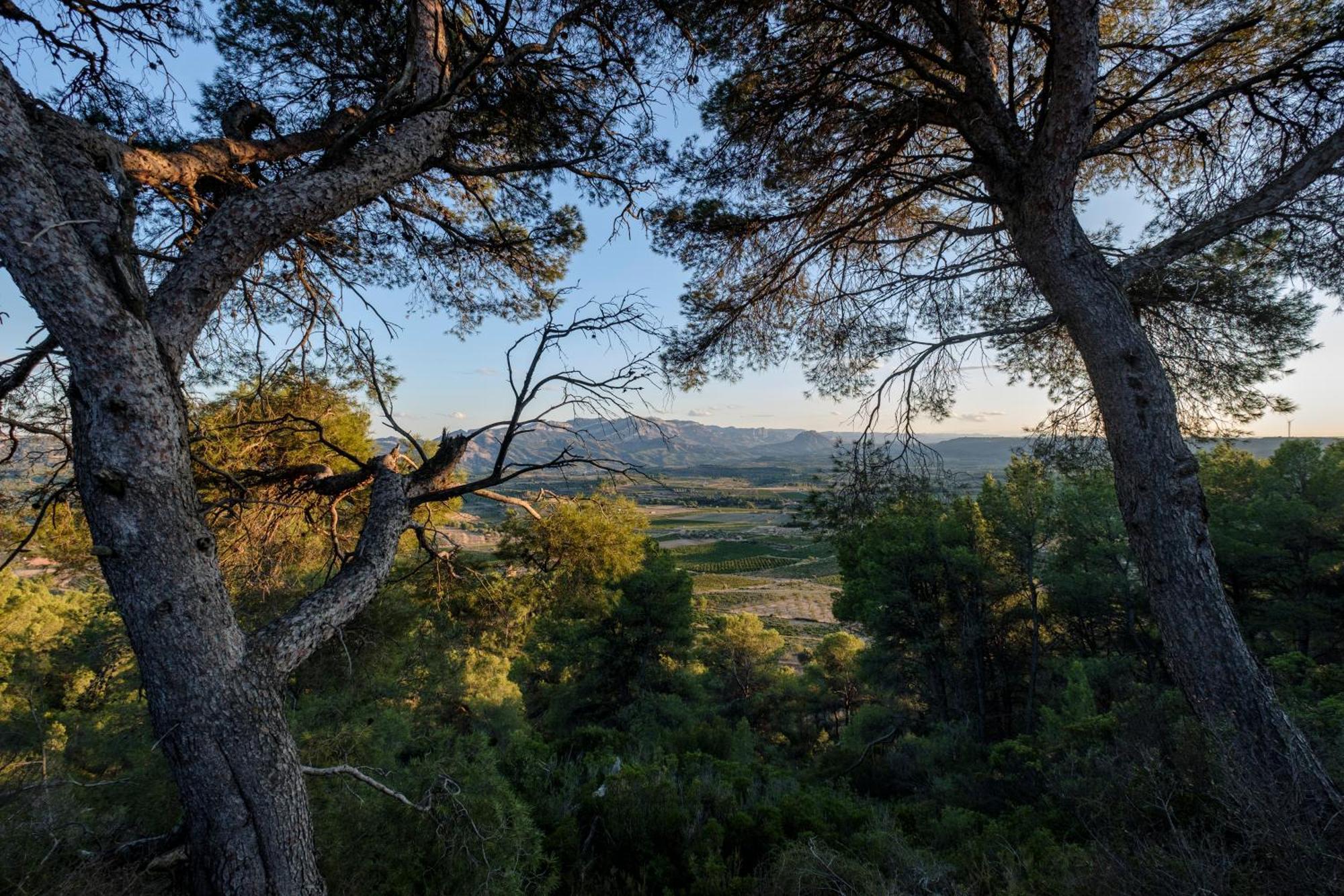 Enoturismo Celler Pinol Apartment Batea Luaran gambar